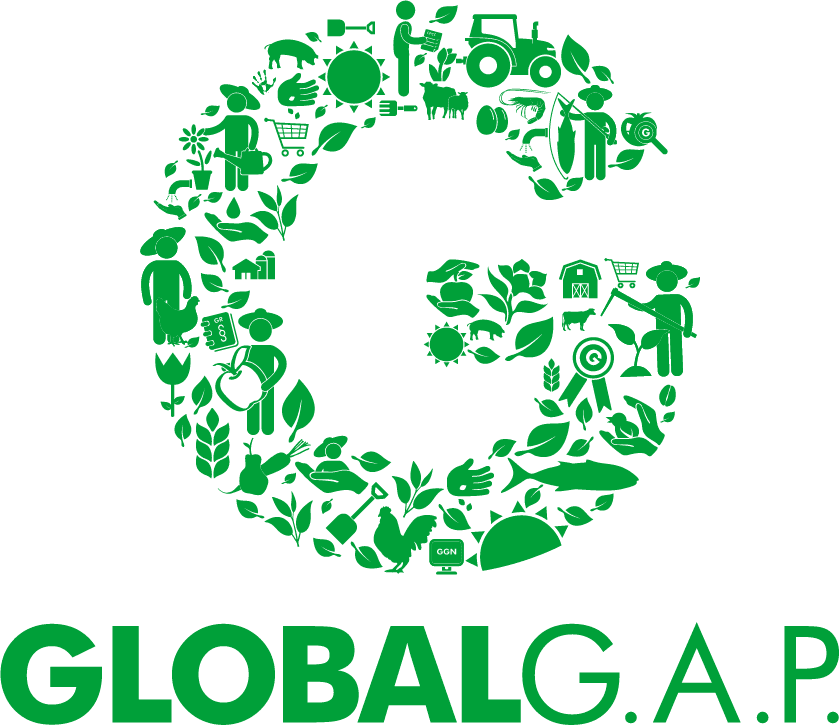 global